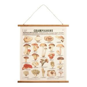Champignon Fabric Scroll Wall Hanging